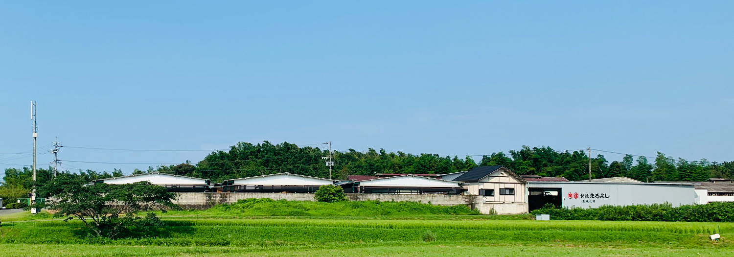 松阪まるよし 玉城牧場
