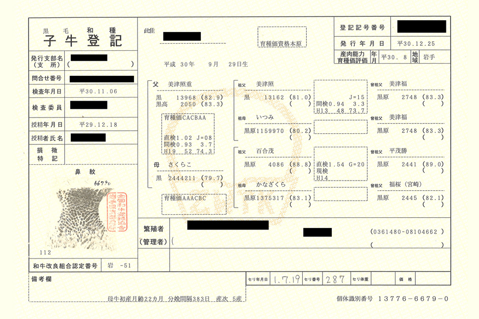仔牛の選定や血統について